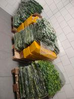 GRAS WAND PANELEN NERGENS GOEDKOPER, Ophalen, Nieuw