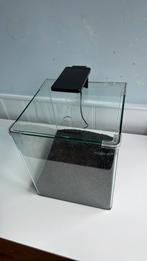 Aquarium - Dennerle Nano Cube 30 l, Dieren en Toebehoren, Vissen | Aquaria en Toebehoren, Ophalen, Zo goed als nieuw, Leeg aquarium