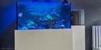 Compleet en zeer uitgebreid zeeaquarium te koop, Ophalen, Nieuw