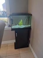 Zeer net 60 cm aquarium!, Dieren en Toebehoren, Ophalen, Zo goed als nieuw, Leeg aquarium