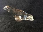 Vintage glazen zeehond Pukeberg Sweden, Antiek en Kunst, Ophalen of Verzenden