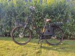 Elektrische dames fiets Forza Viela Transporto, Ophalen, 2 zitjes, Zo goed als nieuw, Overige merken