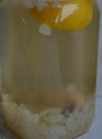 Water kefir, Diversen, Levensmiddelen, Ophalen