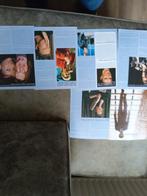 David Bowie:  Bowie, Ophalen of Verzenden, Zo goed als nieuw, Poppenhuis