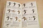 De Europese Vogels in Kleur — Ook N-Afrika & Midden-Oosten, Ophalen of Verzenden, Gelezen, Vogels