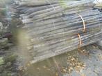 heining palen   dik -    8cm  lang 250 cm, Ophalen, Gebruikt, 250 cm of meer, Palen