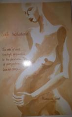 Safe motherhood - Akosua de Groot, Ophalen of Verzenden, Gelezen, Zwangerschap en Bevalling
