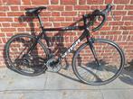 Sensa Umbria 21, Gebruikt, Aluminium, Meer dan 20 versnellingen, 53 tot 57 cm