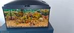 Aquarium, Dieren en Toebehoren, Vissen | Aquaria en Toebehoren, Ophalen, Zo goed als nieuw, Gevuld zoetwateraquarium