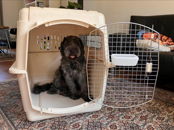 Top Petmate transport Kennel Hond Large - UltraVari Dog IATA, Dieren en Toebehoren, Transportboxen, Gebruikt, Ophalen