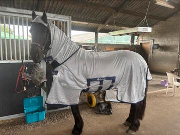 Bucas buzz of full neck 140 x 190 1 x gedragen beschikbaar voor biedingen