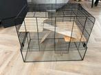 Hamsterkooi muizenverblijf, Dieren en Toebehoren, Kooi, Gebruikt, Minder dan 75 cm, Hamster