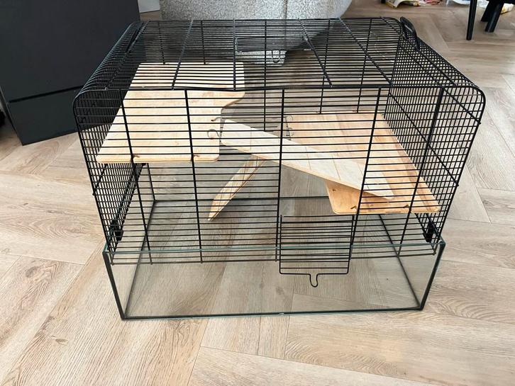Hamsterkooi muizenverblijf, Dieren en Toebehoren, Knaagdieren en Konijnen | Hokken en Kooien, Gebruikt, Kooi, Minder dan 60 cm