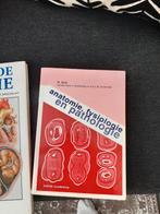 Anatomie, Fysiologie en Pathologie - K. Kok, Gelezen, Beta, K. Kok, HBO