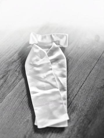 Plastron Kindermaat - Paardrijwedstrijd beschikbaar voor biedingen