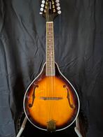 Tenessee mandoline, model A2 ,, Muziek en Instrumenten, Ophalen of Verzenden, Zo goed als nieuw