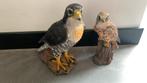 Slechtvalk en torenvalk polyester vogels, Ophalen, Gebruikt, Kunststof, Dierenbeeld