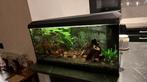 Juwel 110 primo met automatisch voermachine, Ophalen, Zo goed als nieuw, Leeg aquarium