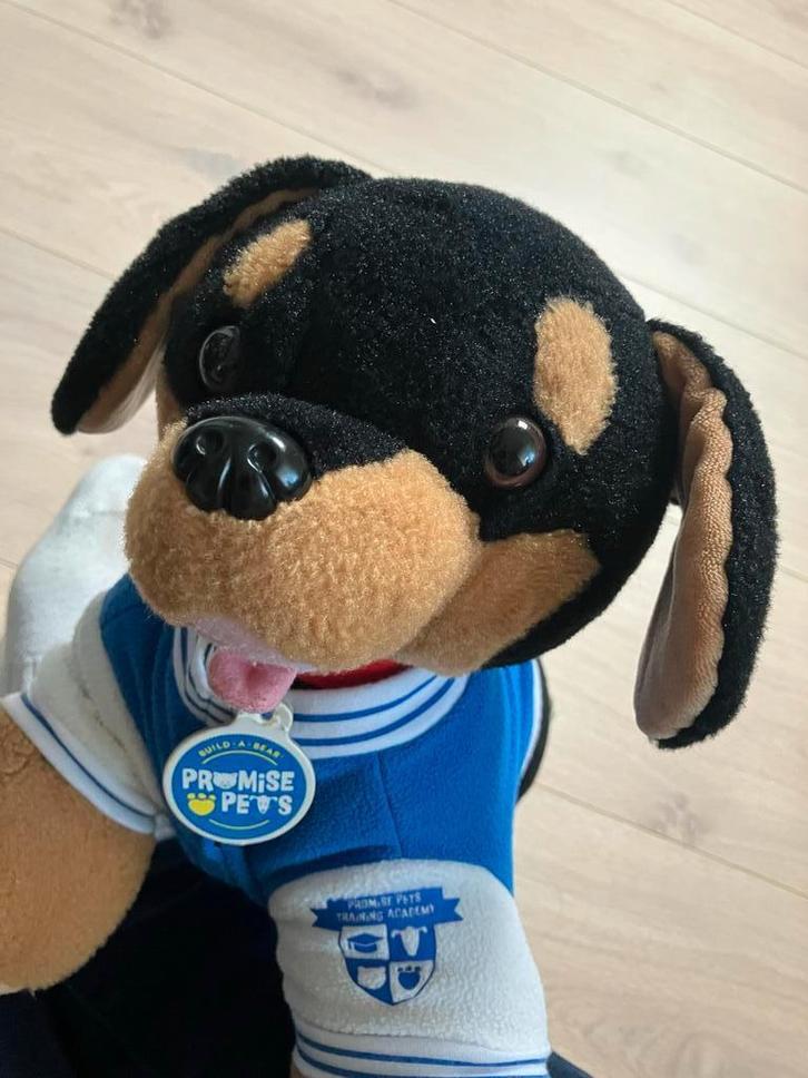 Build-A-Bear Hond + 4 setjes kleding, voerbak en halsbanden, Kinderen en Baby's, Speelgoed | Knuffels en Pluche, Zo goed als nieuw