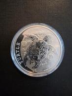 Turtle 2020, Ophalen of Verzenden, Zilver