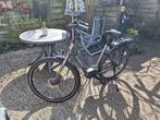 Elektrische Fiets merk Trek, Fietsen en Brommers, Elektrische fietsen, Gebruikt, 51 tot 55 cm, 50 km per accu of meer, Ophalen