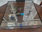 zilveren dames armbanden eventueel met vitrine, Ophalen of Verzenden