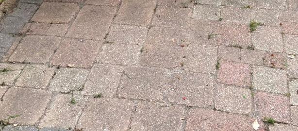 Gratis Sierbestrating Wildverband + Muurelementen, Tuin en Terras, Tegels en Klinkers, Gebruikt, Klinkers, Beton, 10 m² of meer