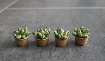 Plant cactus plantje in pot miniatuur nieuw 1:12 - Model 1 beschikbaar voor biedingen