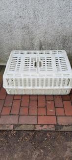 Dieren transport kist, Ophalen, Gebruikt