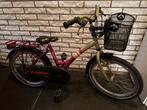 Leuke Loekie 20 inch meisjesfiets / kinderfiets met mandje, Fietsen en Brommers, Fietsen | Meisjes, Ophalen, 20 inch, Loekie, Handrem