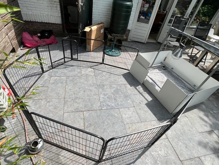 Grote werpkist hond 153x130 incl ren + armtuur te huur groot, Dieren en Toebehoren, Hondenhokken, Zo goed als nieuw, 110 cm of meer