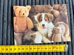 199. Kaart Hond met Teddy beren, Ophalen of Verzenden, Ongelopen