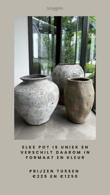 unieke olijfolie potten beschikbaar voor biedingen