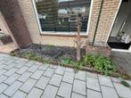 GRATIS GRIND, Tuin en Terras, Ophalen of Verzenden