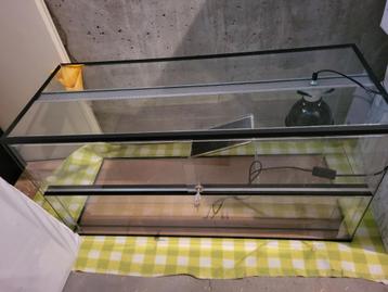 schildpad aquarium beschikbaar voor biedingen
