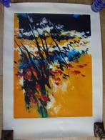 Mattie Schilders Ets (vormende hand) en boek Once a world., Antiek en Kunst, Ophalen of Verzenden