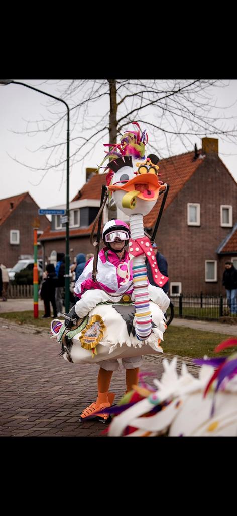 Feestbeesten, Ophalen of Verzenden, Zo goed als nieuw, Carnaval