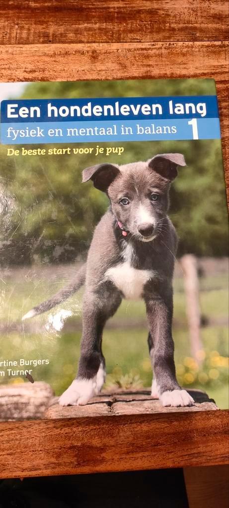 Martine Burgers en Sam Turner - De beste start voor je pup, Boeken, Dieren en Huisdieren, Zo goed als nieuw, Honden, Ophalen of Verzenden