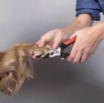 Dierenartsassistente komt aan huis nagels scheren medicatie, Overige vormen