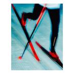 Skies Atomic REDSTER C9 + SHIFT R, Overige merken, Info@atomic.com, 180 cm of meer, Atomic Straße 1 A-5541 Altenmarkt im Pongau Oostenrijk