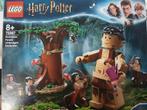 Lego 75967 forbidden forest: umbridge's encounter, Kinderen en Baby's, Speelgoed | Duplo en Lego, Ophalen of Verzenden, Gebruikt