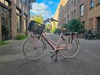 Tweedehands Batavus X Presure transporter damesfiets e-bike, Batavus, Info@batavus.nl, Versnellingen, Batavus