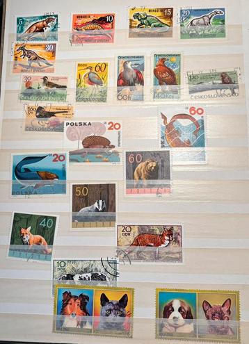 Postzegels uit Polen DDR Mongolië Tsjecho-Slowakije beschikbaar voor biedingen
