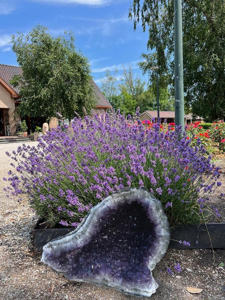 Amethist geode (32)ruw, zo uit de mijn en onbehandeld, Verzamelen, Mineralen en Fossielen, Mineraal, Ophalen of Verzenden