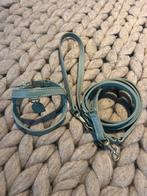 Perro collection tuigje en riem mint xs, Ophalen of Verzenden, Zo goed als nieuw