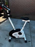 Hometrainer, Sport en Fitness, Ophalen, Zo goed als nieuw, Metaal, Hometrainer