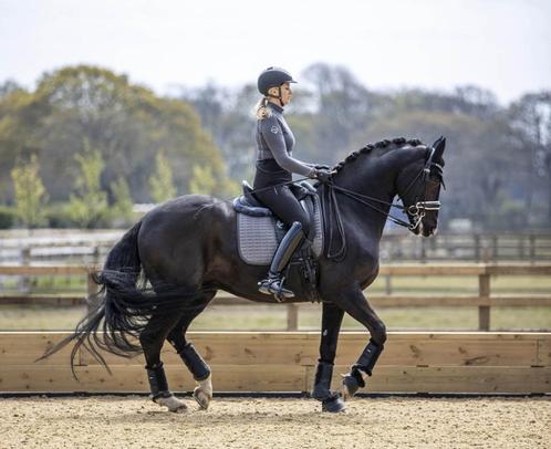 LeMieux Self-Cool Mesh dressuur dekje Grijs GRATIS VERZENDIN, Dieren en Toebehoren, Paarden en Pony's | Dekens en Dekjes, Nieuw