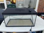 Aquarium Aquael met Molly vissen 50x30 in goede staat, Ophalen