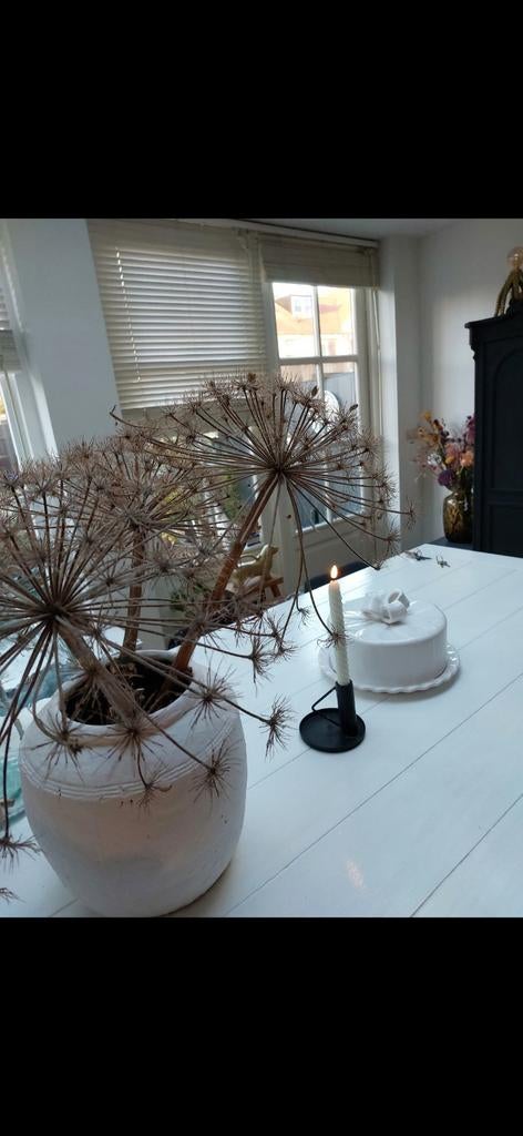 Zware houten eettafel, gekocht bij Loods5, Huis en Inrichting, Tafels | Eettafels, Ophalen, Gebruikt, 200 cm of meer, 50 tot 100 cm