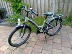 Loekie Romanz 22 inch, Ophalen, 22 inch, Loekie, Handrem